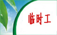 临时工的招录和行为规范（试行）